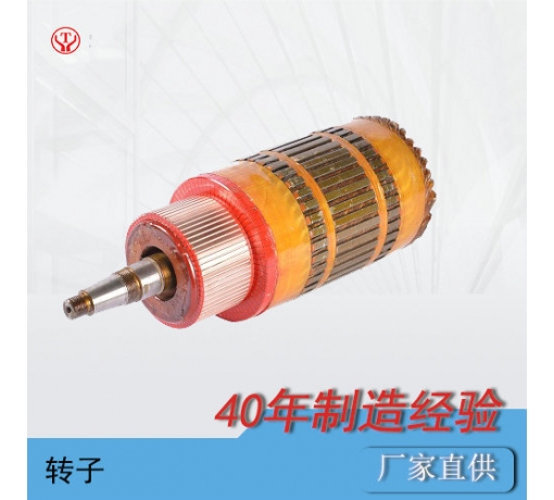 ZQ-1.9輔助直流牽引電機(jī)電樞（250V，550V）